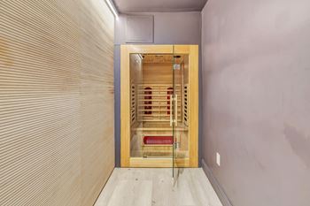 Red Light Therapy Sauna